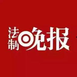 鲁美最新爆料新闻,揭秘娱乐圈惊人内幕